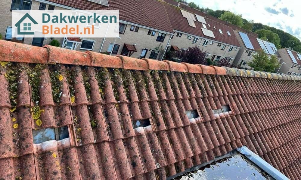 Een dakrenovatie bij oud pannendak in Bladel